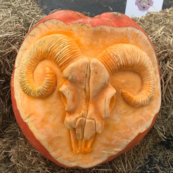 Meet your Posher, Kenneth - Picture 1 of 1